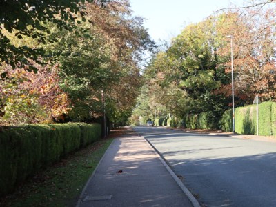 What’s Life all about? 